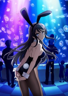 ImageSeishun Buta Yarou wa Bunny Girl Senpai no Yume wo Minai